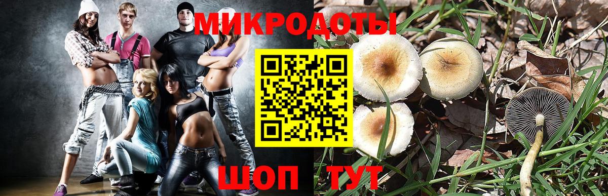 Галлюциногенные грибы GOLDEN TEACHER  Псилоцибиновые грибы Psilocybine cubensis  купить  цена  Вход с VPN  Краснокамск 